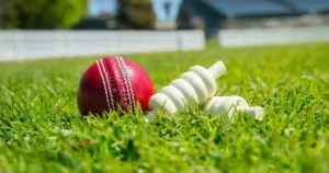 Common Mistakes to Avoid When Using Cricket ID Adda for Cricket Betting