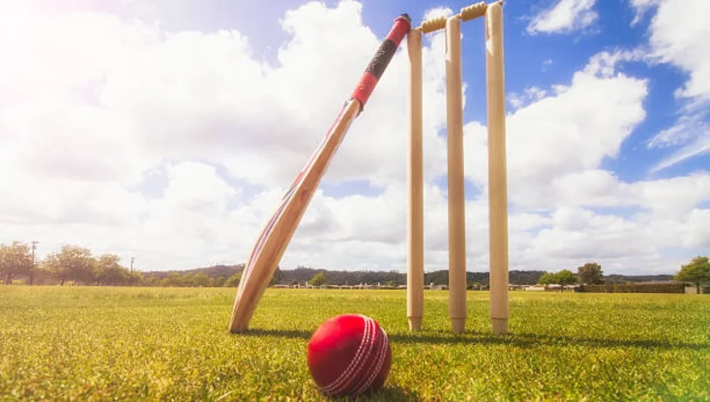 10 Essential Factors to Elevate Your Cricket Betting Experience