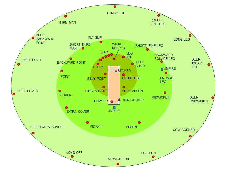 A Beginner's Guide to Cricket Field Positions and Roles