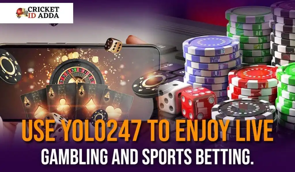 yolo247 betting id